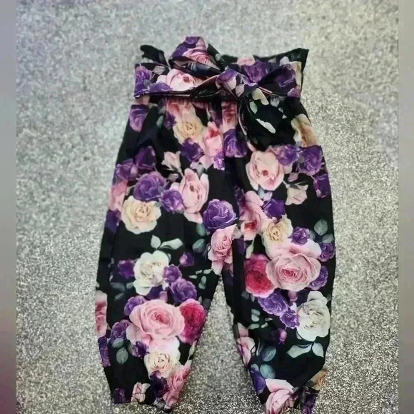 Bnwot 6 to 12 month 2 piece floral pant set - Picture 3 of 4